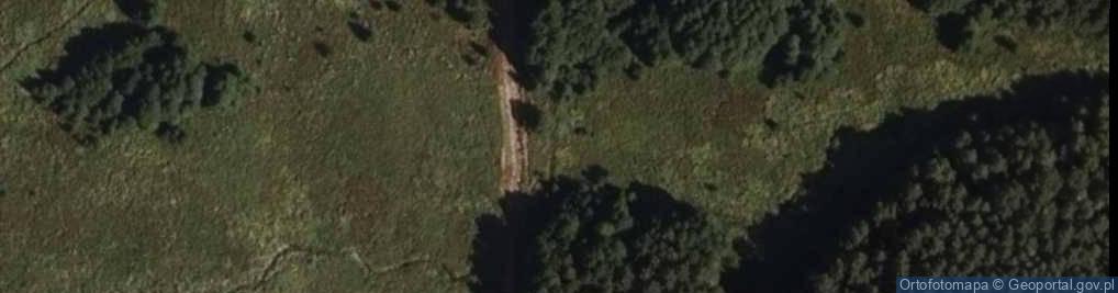 Zdjęcie satelitarne Przejście graniczne Siemianówka-Swisłocz