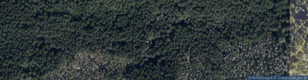Zdjęcie satelitarne Przełęcz w Grzybowcu 1311 m