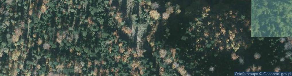 Zdjęcie satelitarne Przełęcz Zakocierska
