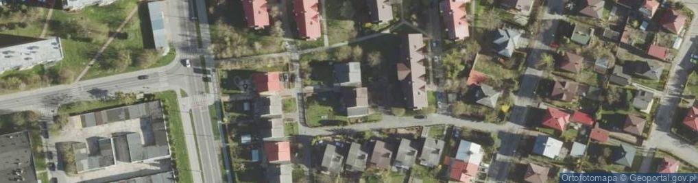 Zdjęcie satelitarne Tuzinek