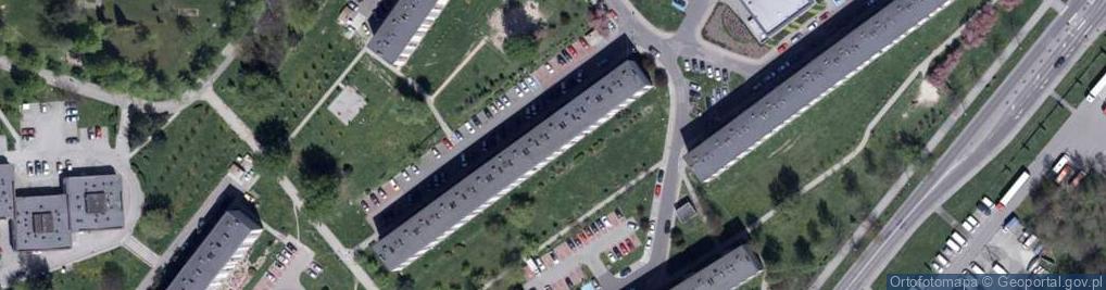 Zdjęcie satelitarne GF Expert - Agencja Opłat