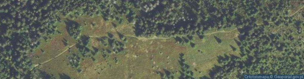 Zdjęcie satelitarne Bardzo rozległa panorama na góry