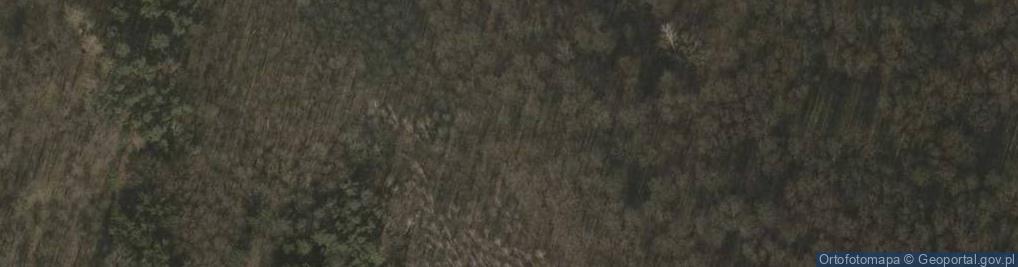Zdjęcie satelitarne Góra Krzyżowa 354 m.n.p.m.