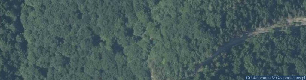 Zdjęcie satelitarne Góra Zamkowa