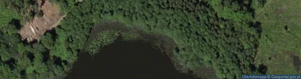 Zdjęcie satelitarne Jezioro Kwiedzińskie - Głęboki Nur