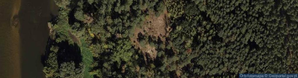 Zdjęcie satelitarne Skarpa rz. Wisła w Zakurzewie