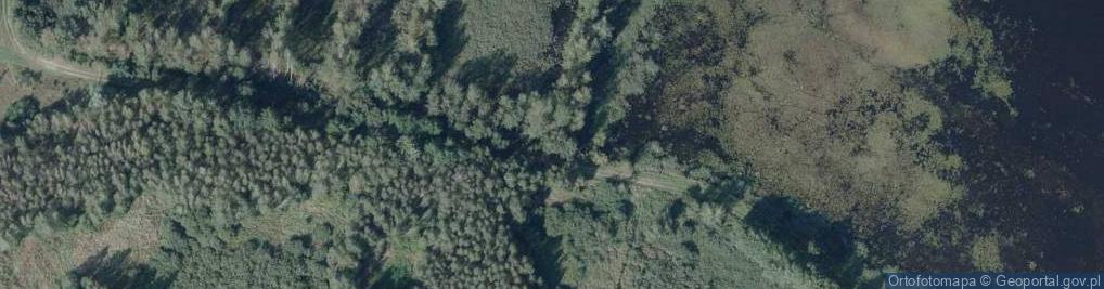 Zdjęcie satelitarne Staw Dziki - wieża widokowa