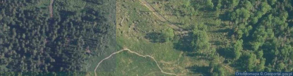 Zdjęcie satelitarne Widok na Zawoję