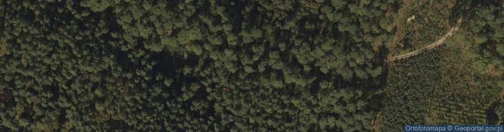 Zdjęcie satelitarne Wieża Widoń - Piekielna Góra