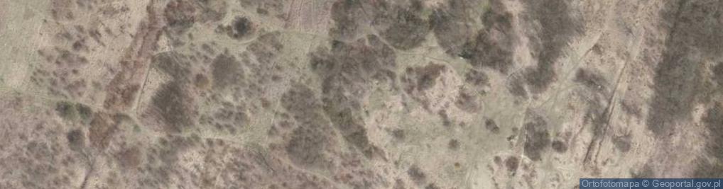Zdjęcie satelitarne Wzgórze Gołonoskie