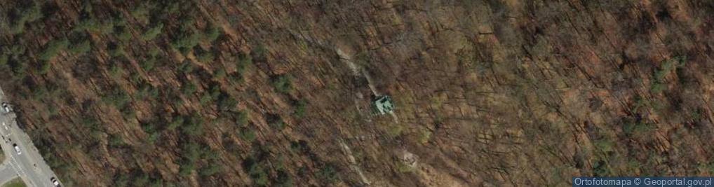 Zdjęcie satelitarne Wzgórze Pachołek