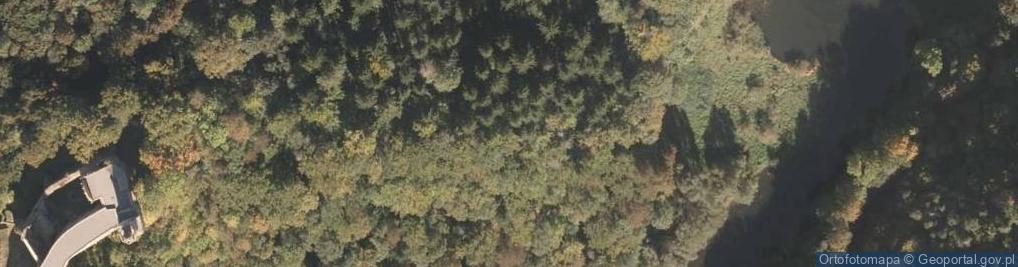Zdjęcie satelitarne Zamek Grodno