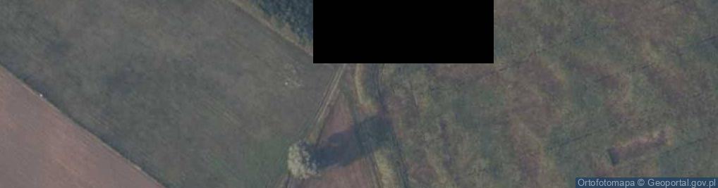 Zdjęcie satelitarne Bronikowo: FuMG-450 Freya AN (Kaninchen)