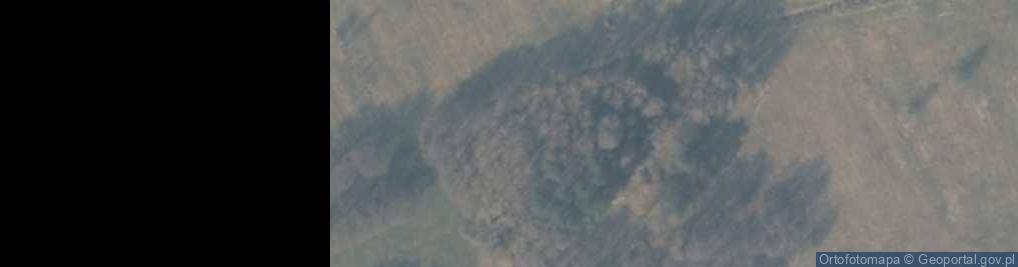 Zdjęcie satelitarne Drogoradz: FuMG-62 Würzburg (Flak)