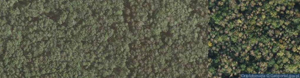 Zdjęcie satelitarne Makoszowy: FuMG-62 Würzburg (Flak)