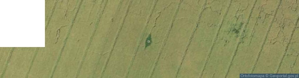 Zdjęcie satelitarne Niewiesze: FuMG-65 Würzburg-Riese (Flak)