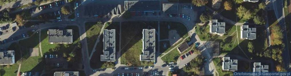Zdjęcie satelitarne Ewa Cybulska