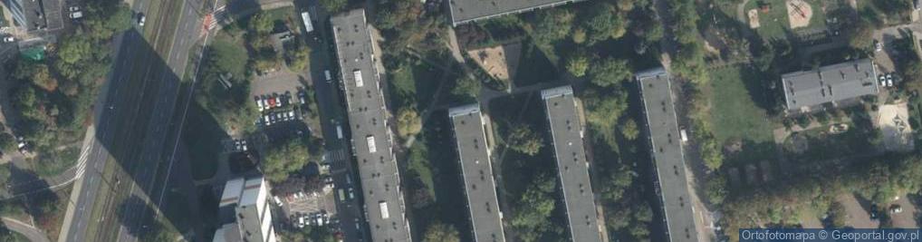 Zdjęcie satelitarne Tomasz Borucki