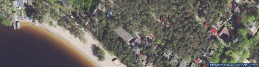 Zdjęcie satelitarne Borowik