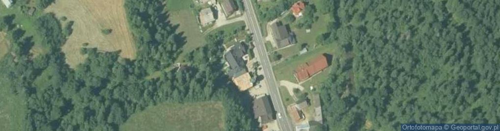 Zdjęcie satelitarne Bury Miś