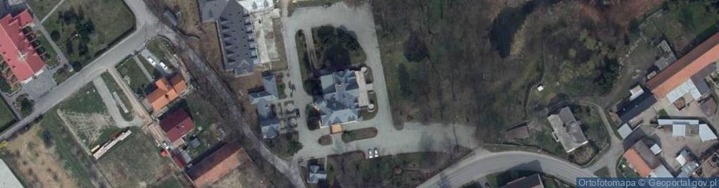 Zdjęcie satelitarne Pałac Większyce