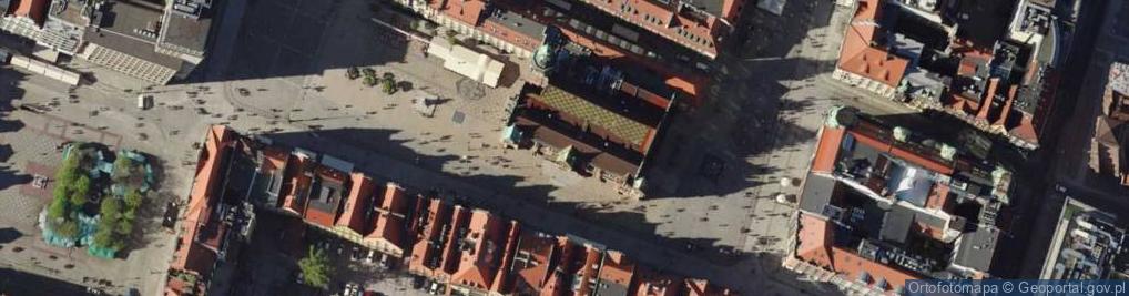 Zdjęcie satelitarne Piwnica Świdnicka