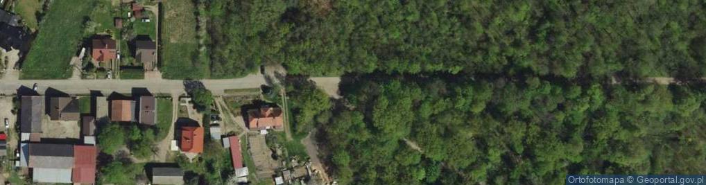 Zdjęcie satelitarne Grądy Odrzańskie