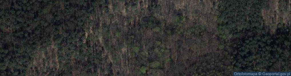 Zdjęcie satelitarne Rezerwat Annabrzeskie Wąwozy