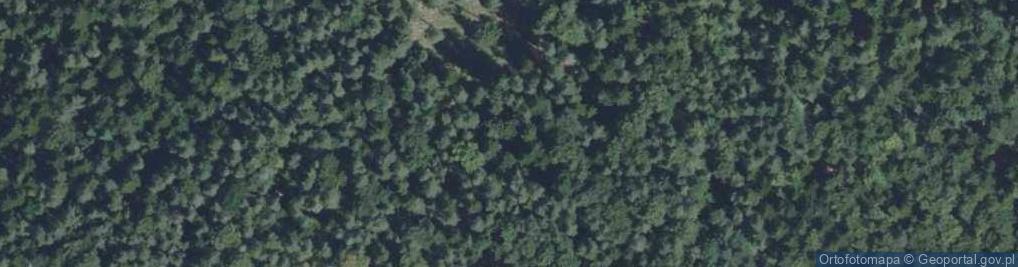 Zdjęcie satelitarne Rezerwat Barcza