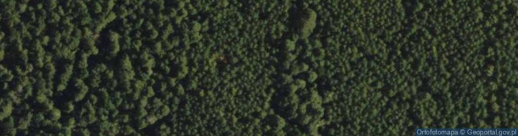 Zdjęcie satelitarne Rezerwat Bartnia