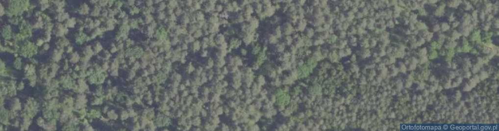 Zdjęcie satelitarne Rezerwat Bażany