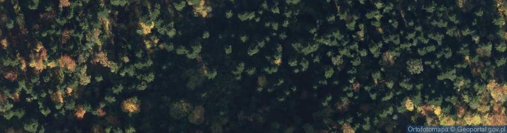 Zdjęcie satelitarne Rezerwat Białowodzka Góra nad Dunajcem