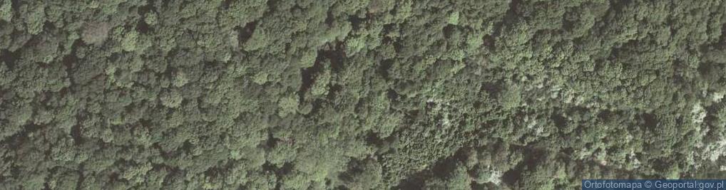 Zdjęcie satelitarne Rezerwat Bielańskie Skały