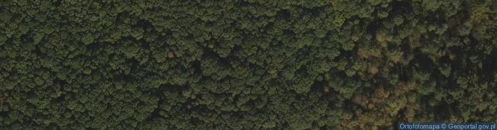 Zdjęcie satelitarne Rezerwat Bieniszew