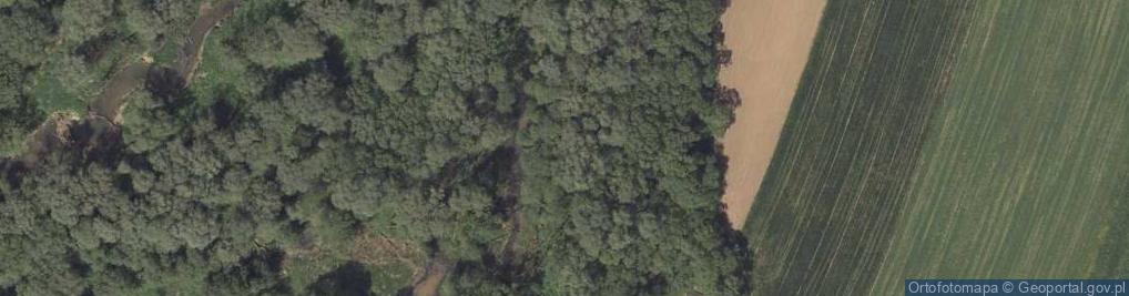 Zdjęcie satelitarne Rezerwat Bobry w Uhercach