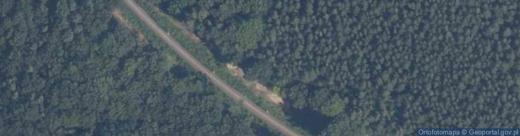 Zdjęcie satelitarne Rezerwat Buczyna nad Słupią