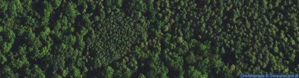 Zdjęcie satelitarne Rezerwat Chojnów