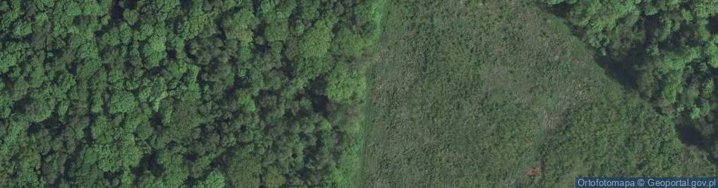 Zdjęcie satelitarne Rezerwat Cieszynianka