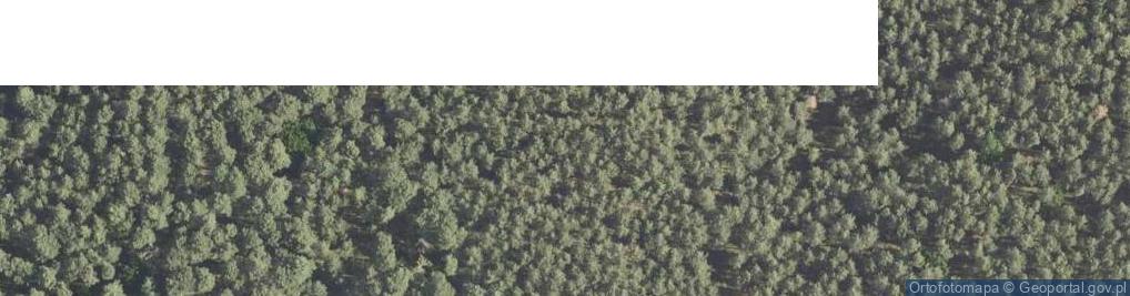 Zdjęcie satelitarne Rezerwat Czapliniec Lemierzycki