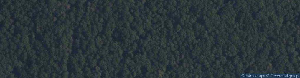 Zdjęcie satelitarne Rezerwat Dąbrowa w Niżankowicach