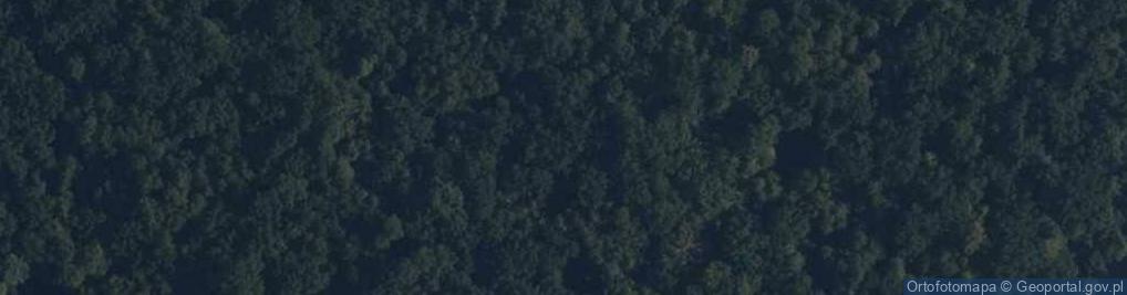 Zdjęcie satelitarne Rezerwat Dębniak