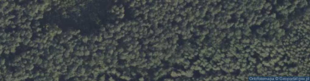 Zdjęcie satelitarne Rezerwat Dębno