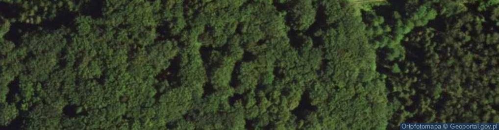 Zdjęcie satelitarne Rezerwat Dębowo