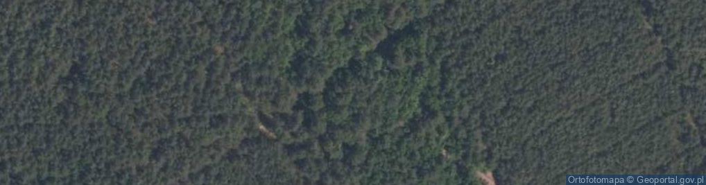 Zdjęcie satelitarne Rezerwat Diabla Góra