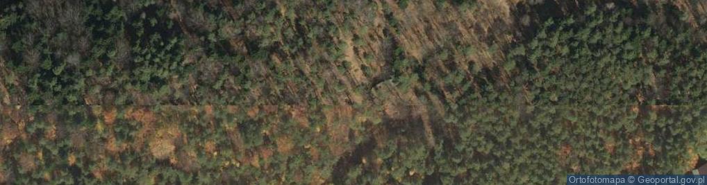Zdjęcie satelitarne Rezerwat Diable Skały
