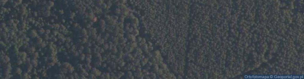 Zdjęcie satelitarne Rezerwat Długosz Królewski w Węglewicach