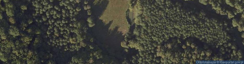 Zdjęcie satelitarne Rezerwat Dolina Osy