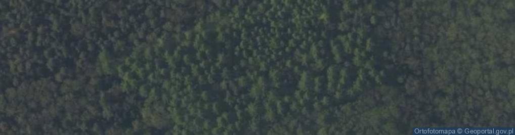 Zdjęcie satelitarne Rezerwat Doliska