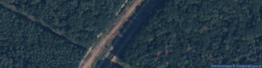 Zdjęcie satelitarne Rezerwat Drzewce
