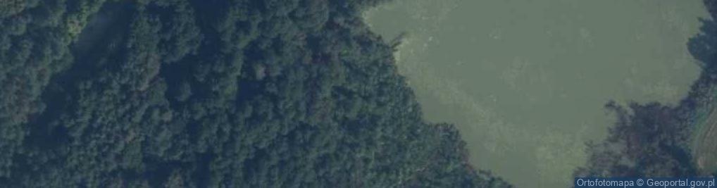 Zdjęcie satelitarne Rezerwat Dybanka
